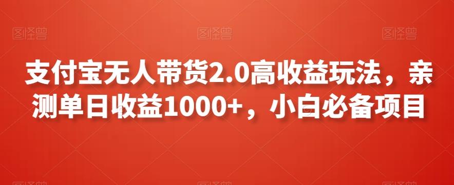 支付宝无人带货2.0高收益玩法，亲测单日收益1000+，小白必备项目【揭秘】-一新网创