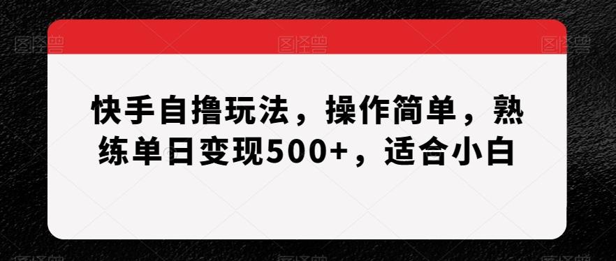 快手自撸玩法，操作简单，熟练单日变现500+，适合小白【揭秘】-一新网创