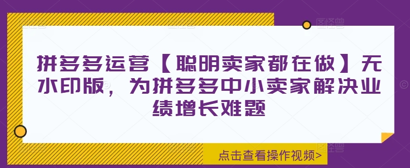拼多多运营【聪明卖家都在做】无水印版，为拼多多中小卖家解决业绩增长难题-一新网创