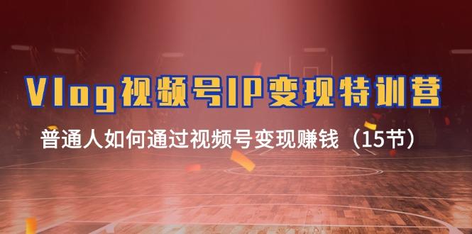 Vlog 视频号IP变现特训营，普通人如何通过视频号变现赚钱(15节-一新网创