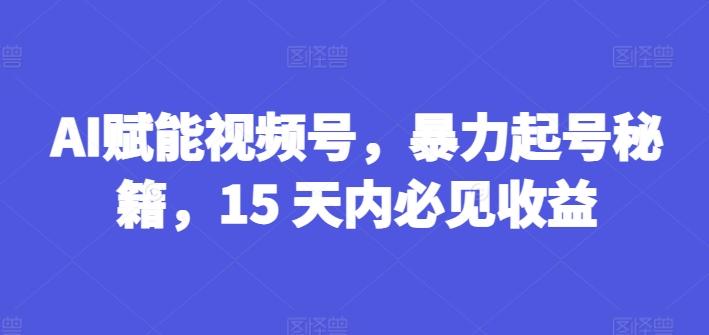 AI赋能视频号，暴力起号秘籍，15 天内必见收益【揭秘】-一新网创