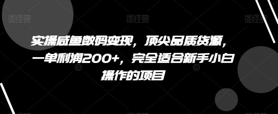 实操咸鱼数码变现，顶尖品质货源，一单利润200+，完全适合新手小白操作的项目【揭秘】-一新网创