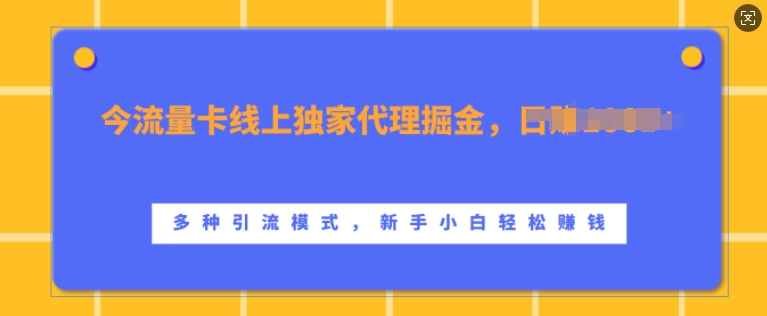流量卡线上独家代理掘金，日入1k+ ，多种引流模式，新手小白轻松上手【揭秘】-一新网创