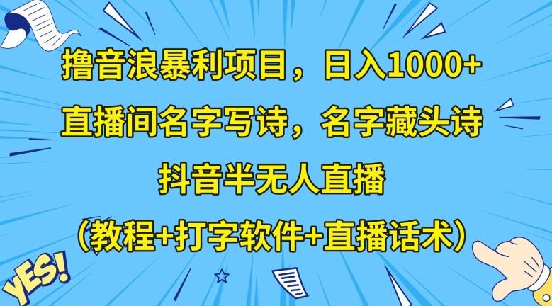 撸音浪暴利项目，日入1000+，直播间名字写诗，名字藏头诗，抖音半无人直播（教程+打字软件+直播话术）【揭秘】-一新网创