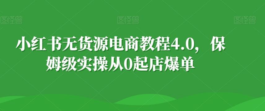 小红书无货源电商教程4.0，保姆级实操从0起店爆单【拆解】-一新网创