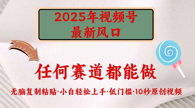 2025年视频号新风口，低门槛只需要无脑执行-一新网创