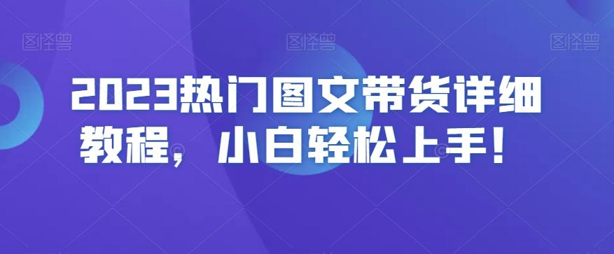 2023热门图文带货详细教程，小白轻松上手！-一新网创
