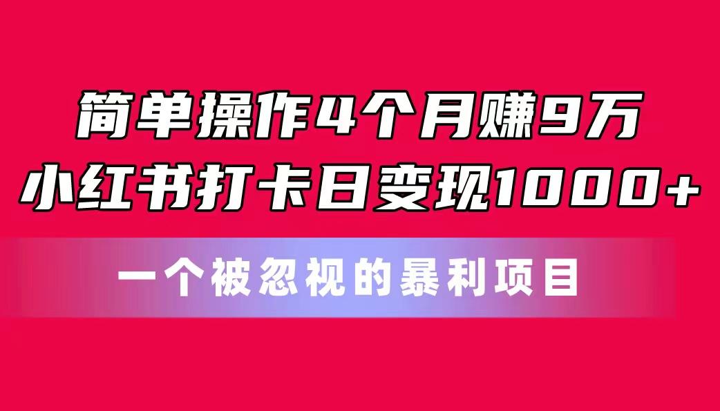 简单操作4个月赚9万！小红书打卡日变现1000+！一个被忽视的暴力项目-一新网创