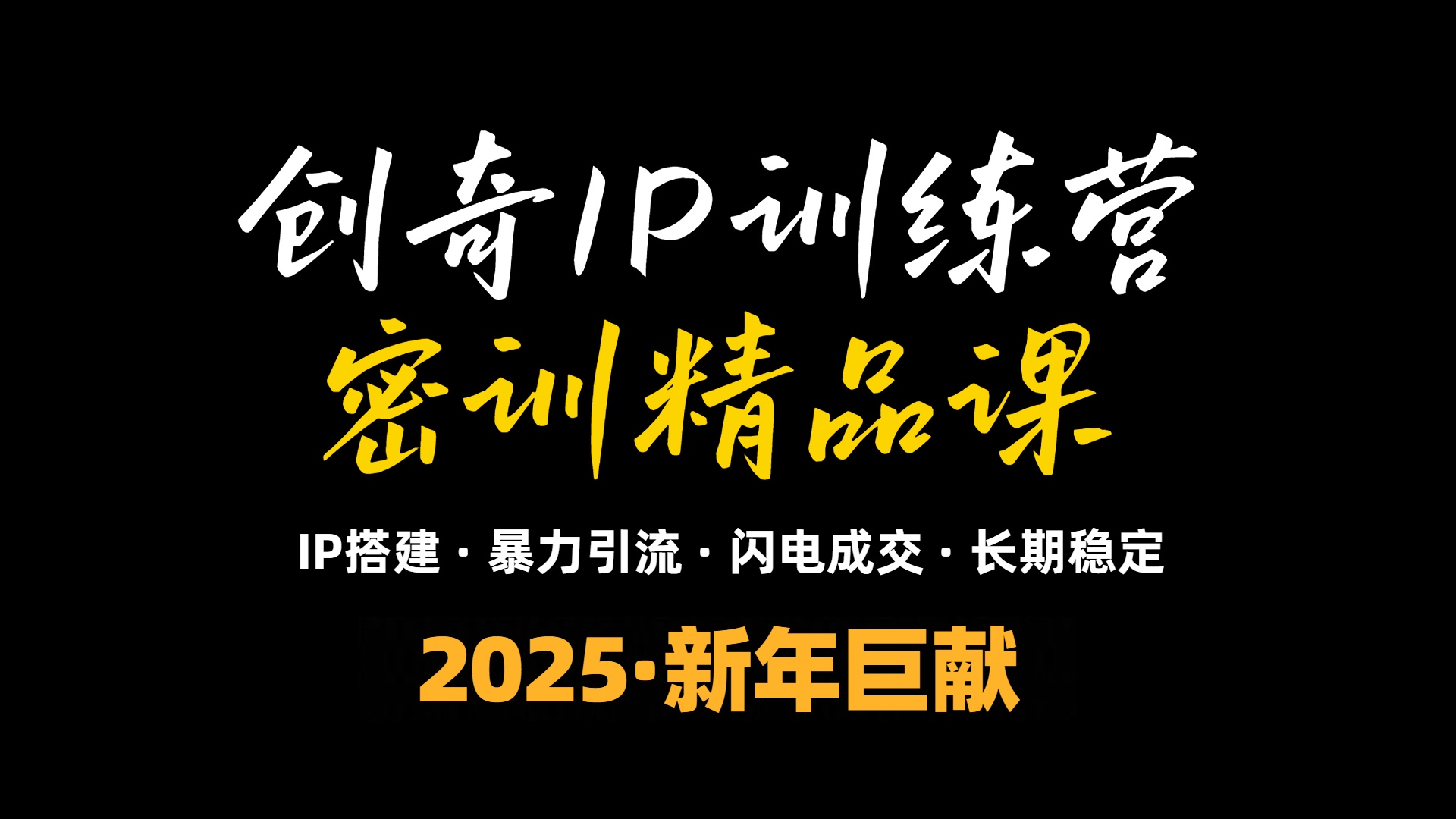 2025年“知识付费IP训练营”小白避坑年赚百万，暴力引流，闪电成交-一新网创