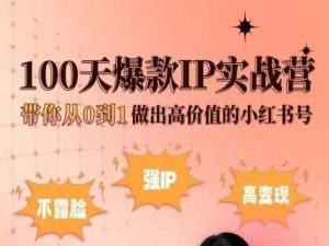 小红书100天爆款IP实战营，带你从0到1做出高价值的小红书号-一新网创
