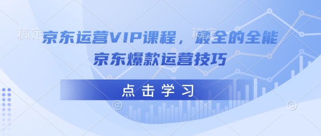 京东运营VIP课程，最全的全能京东爆款运营技巧-一新网创