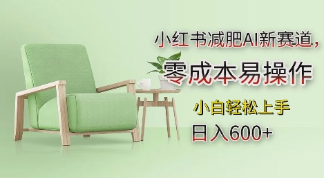 小红书减肥AI新赛道，零成本易操作，日入多张，小白轻松上手【揭秘】-一新网创