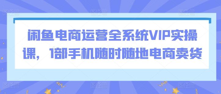 闲鱼电商运营全系统VIP实操课，1部手机随时随地电商卖货-一新网创