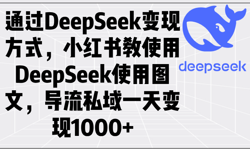 通过DeepSeek变现方式，小红书教使用DeepSeek图文，导流私域一天变现1000+-一新网创