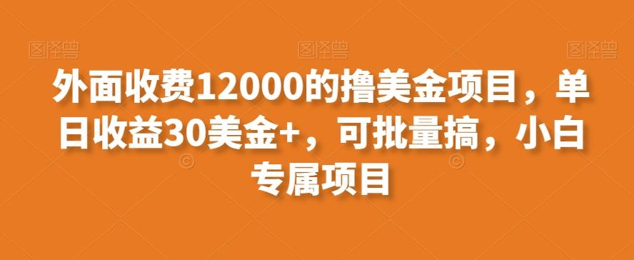 外面收费12000的撸美金项目，单日收益30美金+，可批量搞，小白专属项目-一新网创
