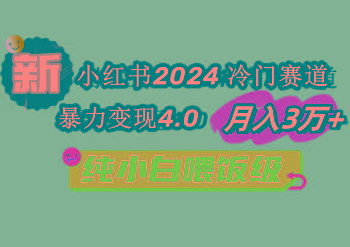 小红书2024冷门赛道 月入3万+ 暴力变现4.0 纯小白喂饭级-一新网创
