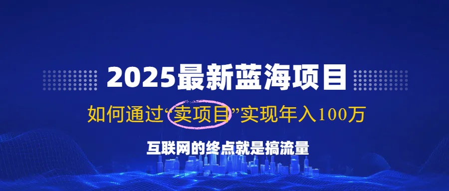 2025最新蓝海项目，零门槛轻松复制，月入10万+，新手也能操作！-一新网创