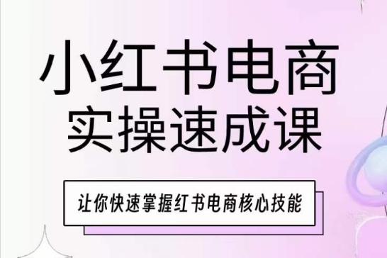 小红书电商实操速成课，让你快速掌握红书电商核心技能-一新网创