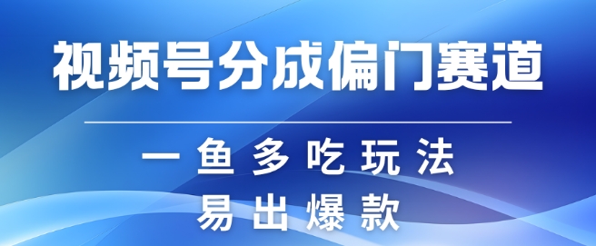 视频号创作者分成计划偏门类目，容易爆流，实拍内容简单易做【揭秘】-一新网创