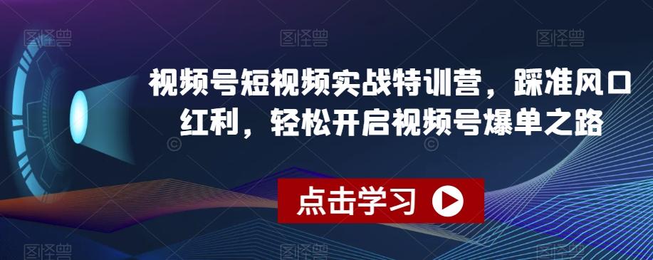 视频号短视频实战特训营，踩准风口红利，轻松开启视频号爆单之路-一新网创