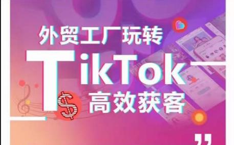 外贸工厂玩转TikTok高效获客，多种引流方式与账号定位技巧，拆解爆款短视频打造成功案例-一新网创