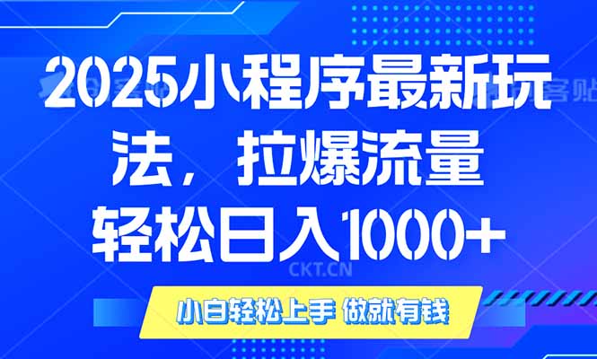 2025年小程序最新玩法，流量直接拉爆，单日稳定变现1000+-一新网创