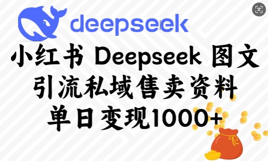 小红书Deepseek图文引流私域售卖资料，单日变现多张-一新网创
