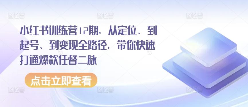 小红书训练营12期，从定位、到起号、到变现全路径，带你快速打通爆款任督二脉-一新网创