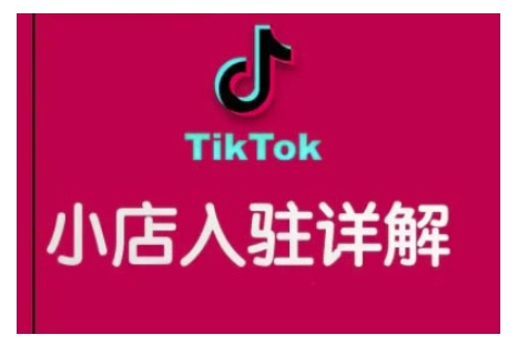 TikTok跨境小店运营全攻略，帮助你独立运营TK跨境小店的能力，实现销量增长-一新网创