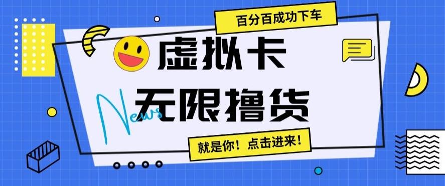 虚拟卡无限撸货，百分百成功下车【仅揭秘】-一新网创