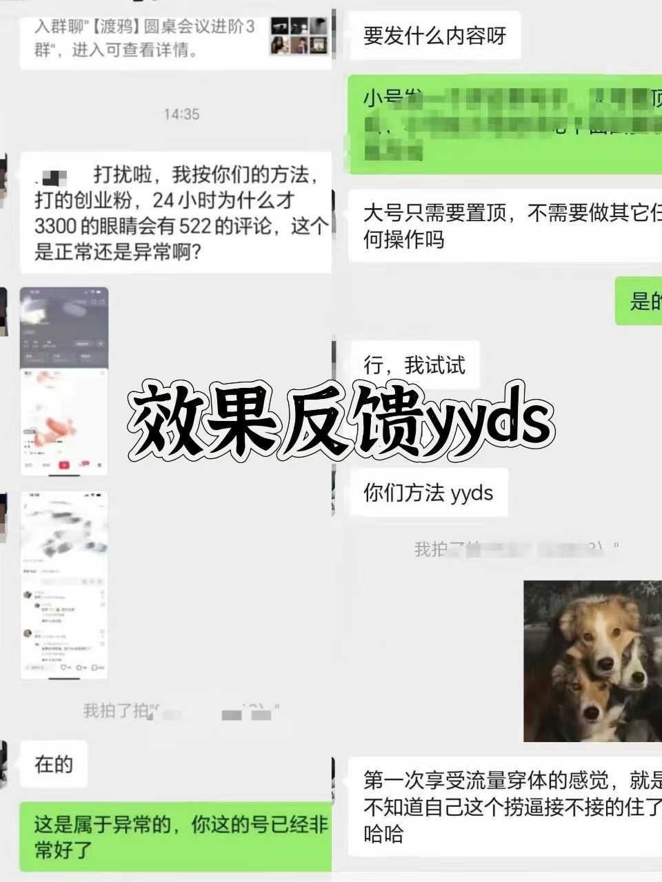 图片[3]-抖音小红书视频号全平台引流打法，全自动引流日引2000+精准客户-一新网创