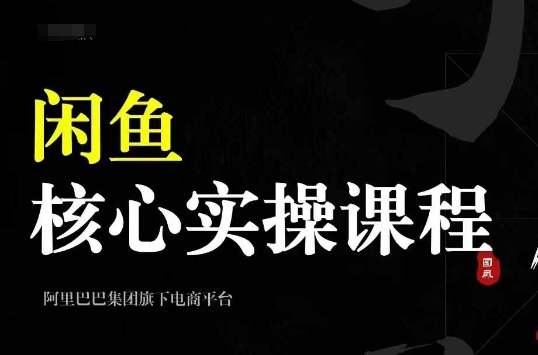 2024闲鱼核心实操课程，从养号、选品、发布、销售，教你做一个出单的闲鱼号-一新网创
