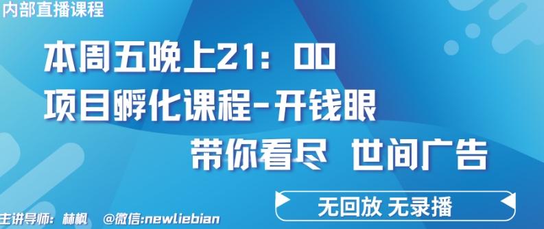 4.26日内部回放课程《项目孵化-开钱眼》赚钱的底层逻辑【揭秘】-一新网创