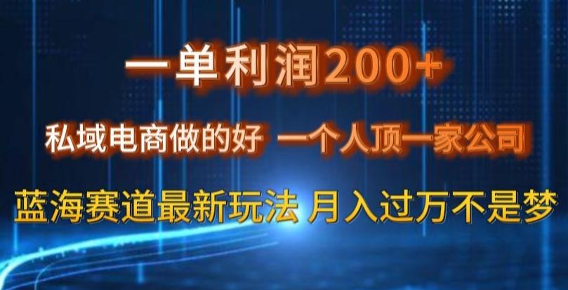 一单利润200私域电商做的好，一个人顶一家公司蓝海赛道最新玩法【揭秘】-一新网创