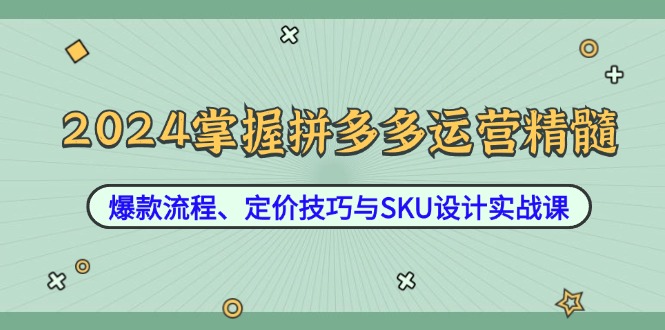 2024掌握拼多多运营精髓：爆款流程、定价技巧与SKU设计实战课-一新网创