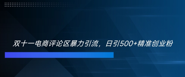 双十一电商评论区暴力引流，日引500+精准创业粉【揭秘】-一新网创