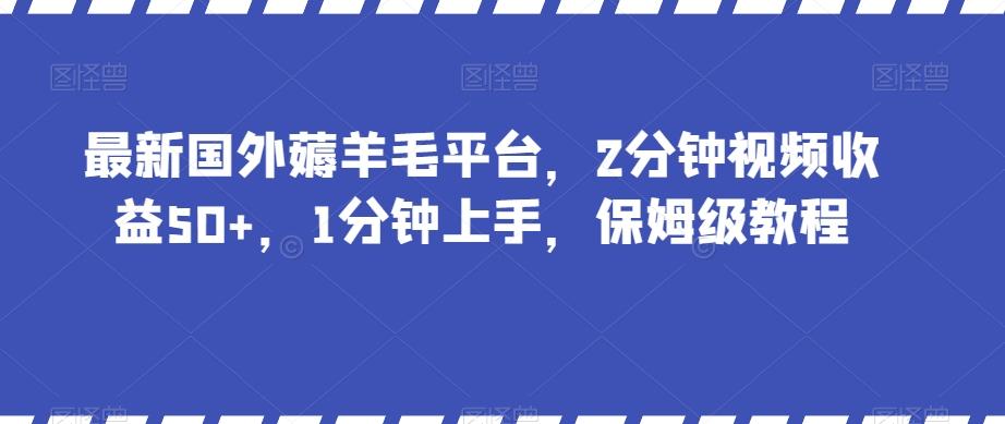 最新国外薅羊毛平台，2分钟视频收益50+，1分钟上手，保姆级教程【揭秘】-一新网创