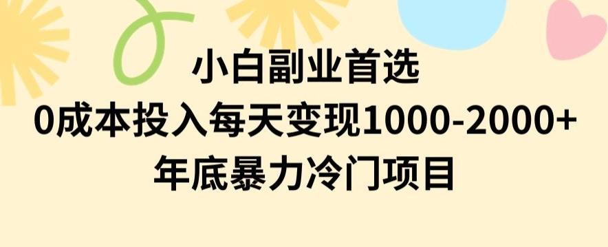 小白副业首选，0成本投入，每天变现1000-2000年底暴力冷门项目【揭秘】-一新网创