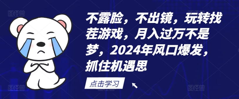 不露脸，不出镜，玩转找茬游戏，月入过万不是梦，2024年风口爆发，抓住机遇【揭秘】-一新网创
