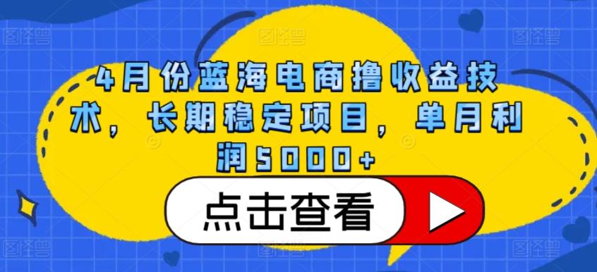 4月份蓝海电商撸收益技术，长期稳定项目，单月利润5000+【揭秘】-一新网创