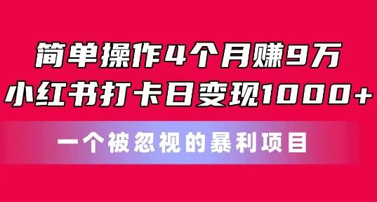 简单操作4个月赚9w，小红书打卡日变现1k，一个被忽视的暴力项目【揭秘】-一新网创
