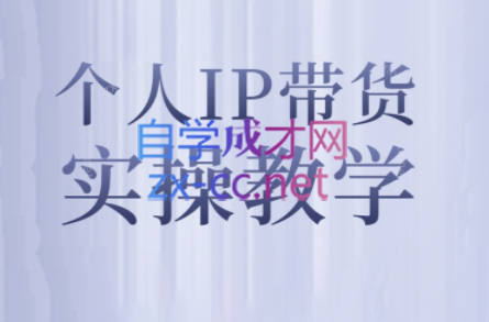 萌神姐姐·个人IP真人出镜短视频实操课-一新网创