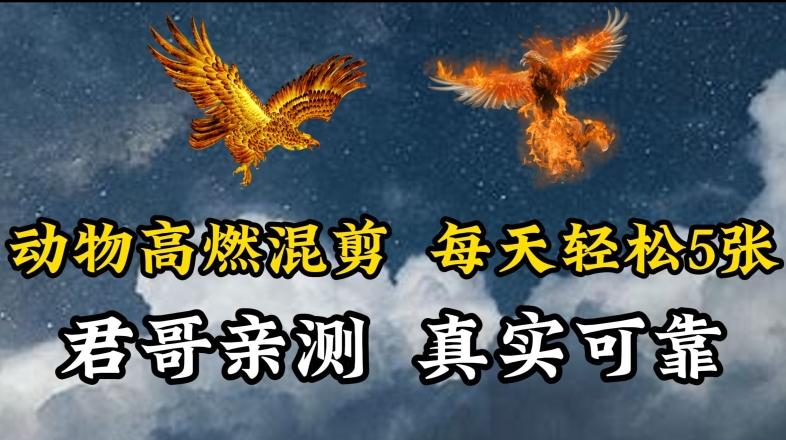 动物超燃混剪，每天轻松5张，剪辑简单大家爱看【揭秘】-一新网创