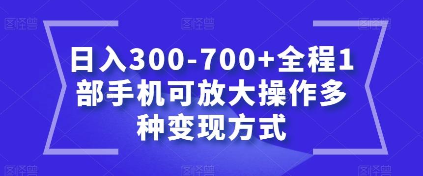 日入300-700+全程1部手机可放大操作多种变现方式【揭秘】-一新网创