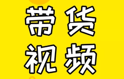 芒果老师·教你做抖音短视频和直播带货-一新网创