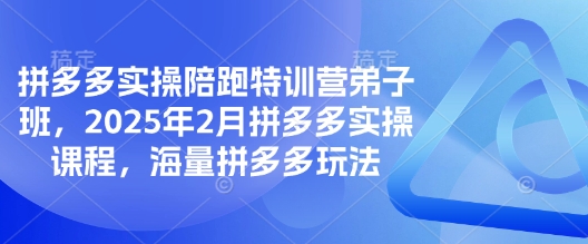 拼多多实操陪跑特训营弟子班，2025年2月拼多多实操课程，海量拼多多玩法-一新网创