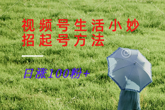 视频号生活小妙招分享赛道， 起号涨粉新方法，日涨100粉-一新网创