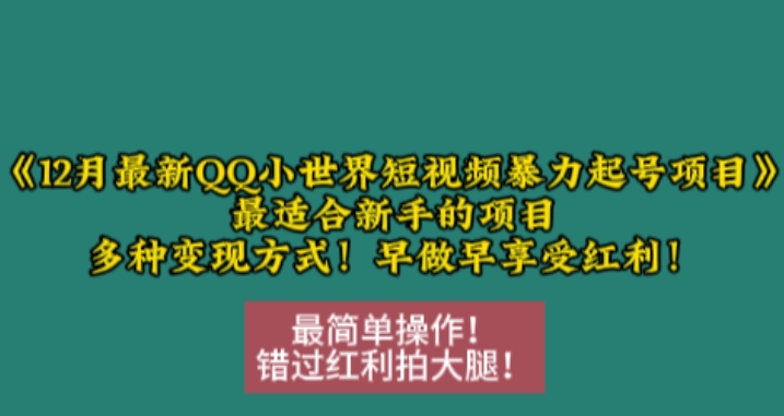 12月最新QQ小世界短视频暴力起号项目，最适合新手的项目，多种变现方式-一新网创