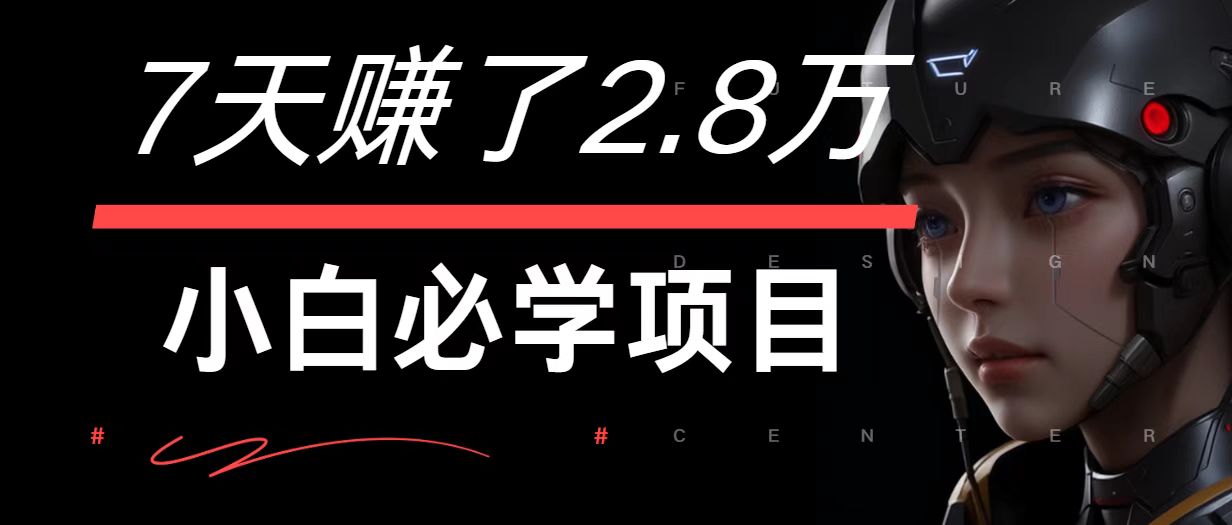 7天赚了2.8万！每单利润最少500+，轻松月入7万+小白有手就行-一新网创