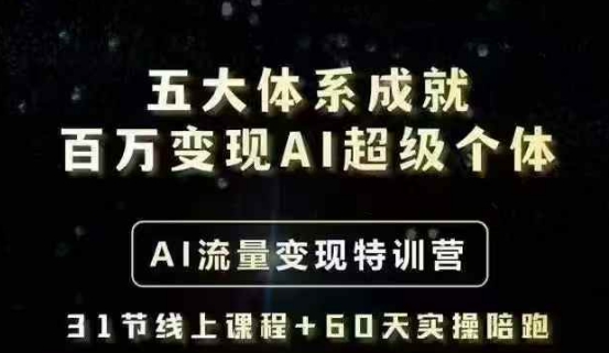 五大体系成就百万变现AI超级个体- AI流量变现特训营，一步一步教你一个人怎么年入百W-一新网创